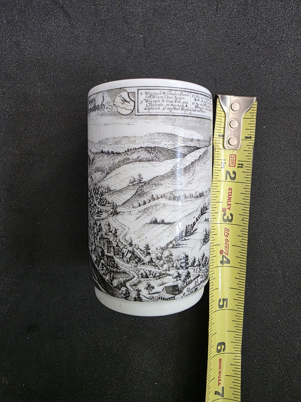 White and Black Scenic Ceramic Art Tumbler